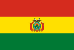 BRL Flag