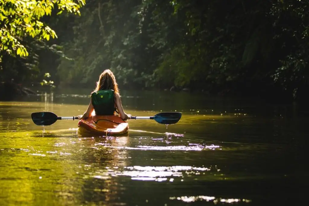 O Weeki Wachee Springs é focado em atrações aquáticas.