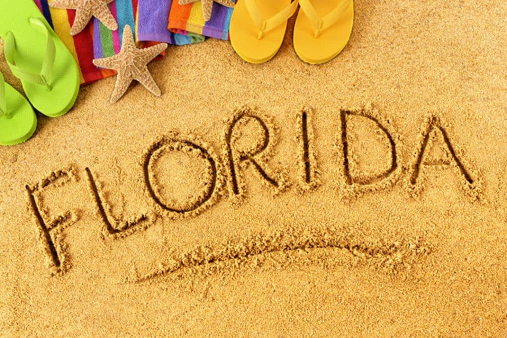 Quer saber o que visitar em Tampa na Flórida? Confira este guia que elaboramos para ajudar você a definir um roteiro de viagem para esse destino incrível!