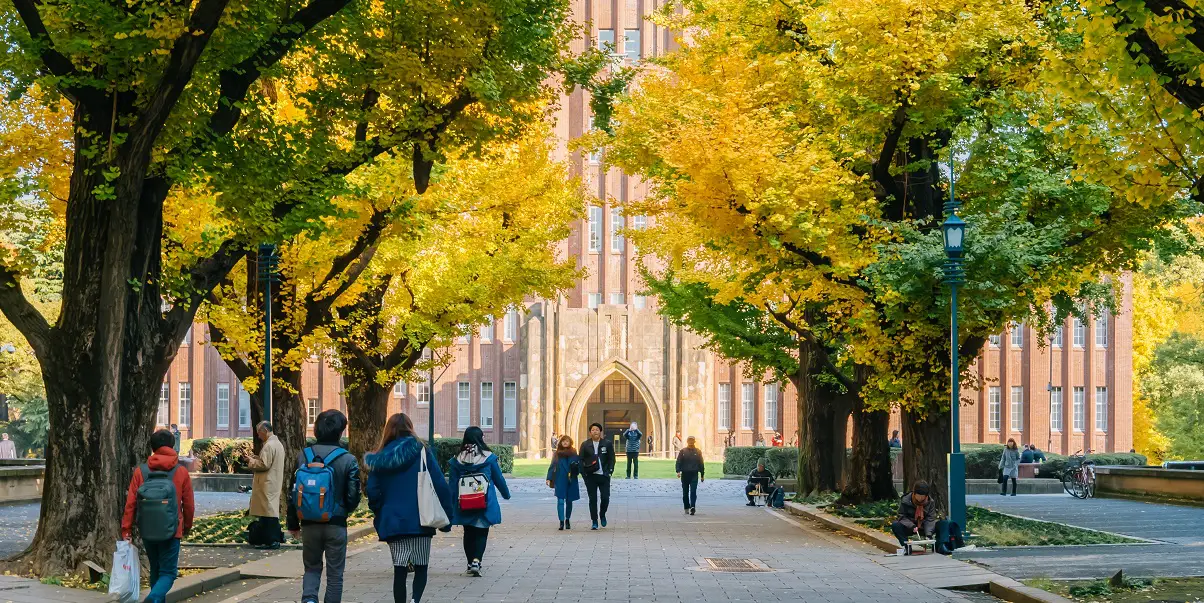 Conheça as principais e melhores faculdades em São Paulo!