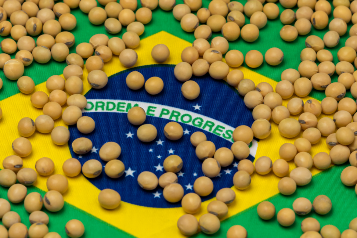 Imagem de uma bandeira do Brasil vista de cima, coberta por batatas