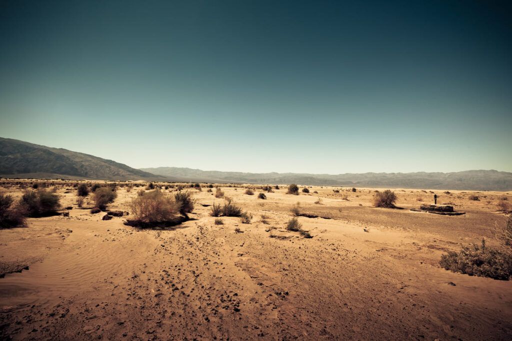 Imagem mostra um deserto com sua vegetação natural