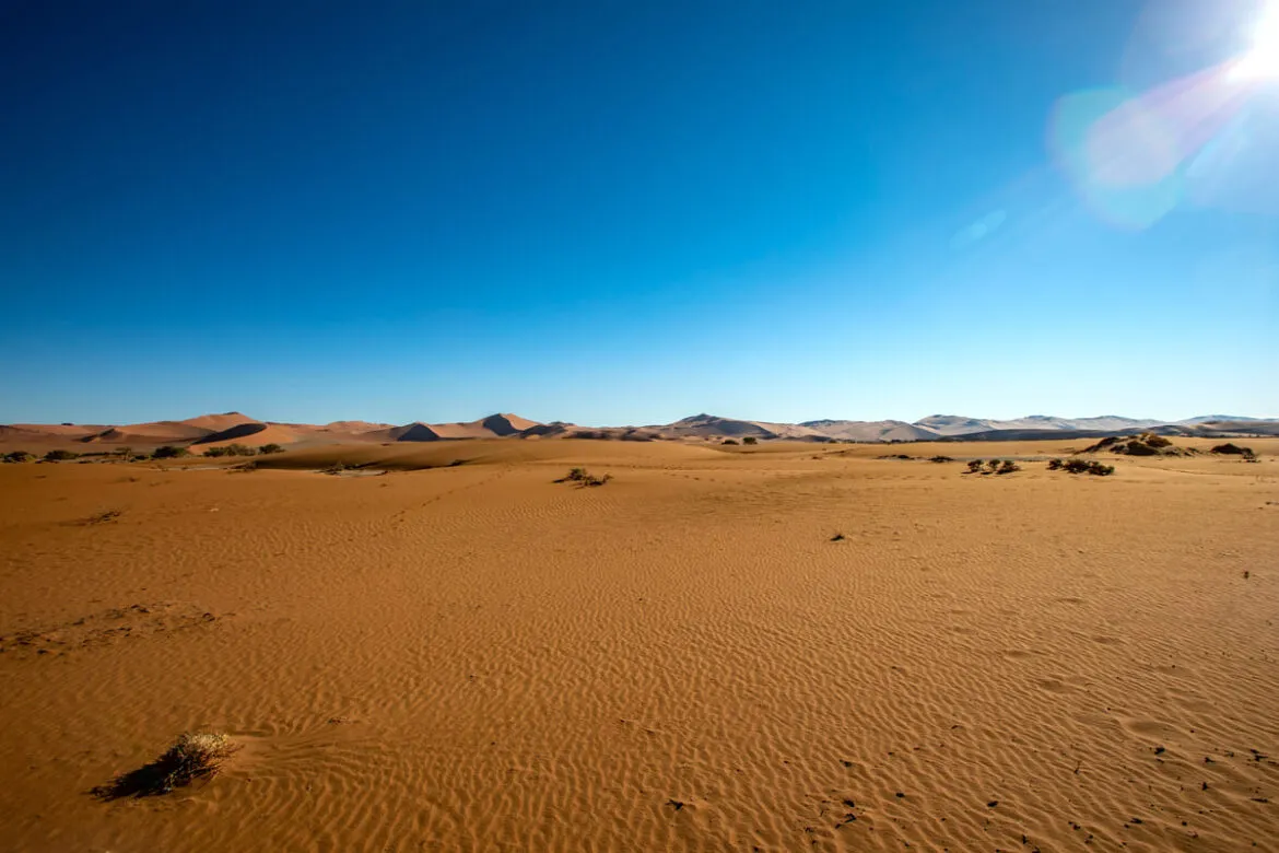 Imagem representando os maiores desertos do mundo