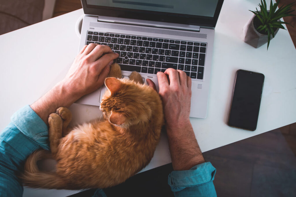 Colaborador de uma empresa realizando home office.