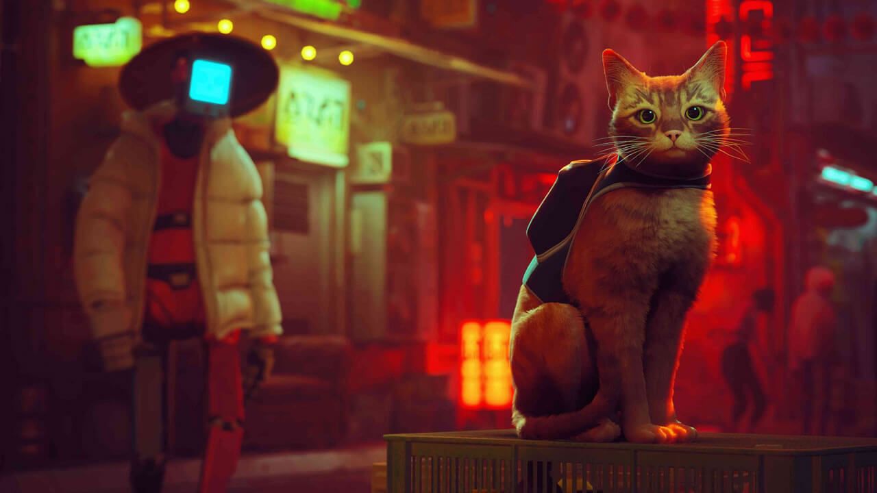 Stray - O jogo do gato #PS4 
