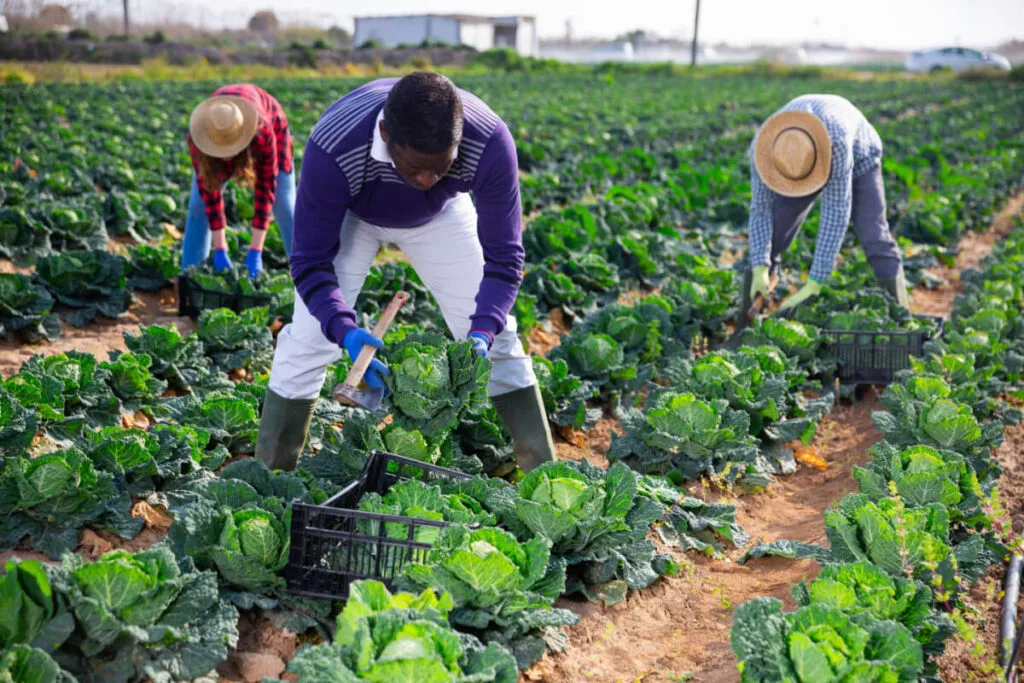 Passo-a-passo-para-abrir-uma-empresa-em-Mocambique