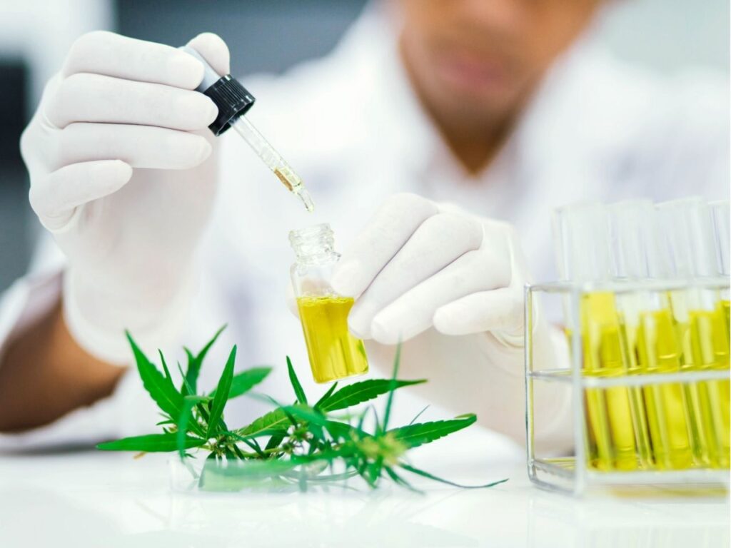 Profissional pesquisando doenças tratadas com o Canabidiol