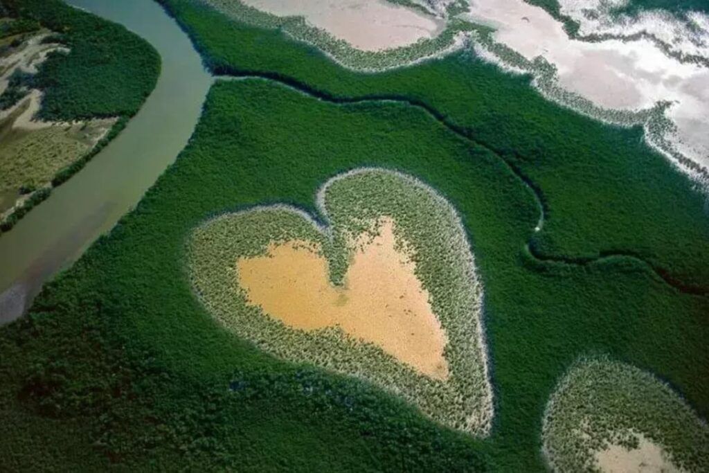 O coração de Voh de Yann Arthus-Bertrand 