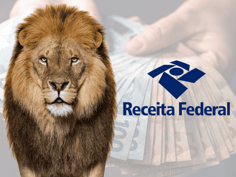 O prazo para declarar o Imposto de Renda termina nesta sexta-feira (30/05)