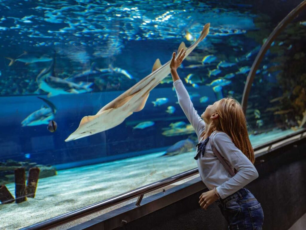 Menina admirando a vida marinha pelo aquário dos parques SeaWorld Orlando.