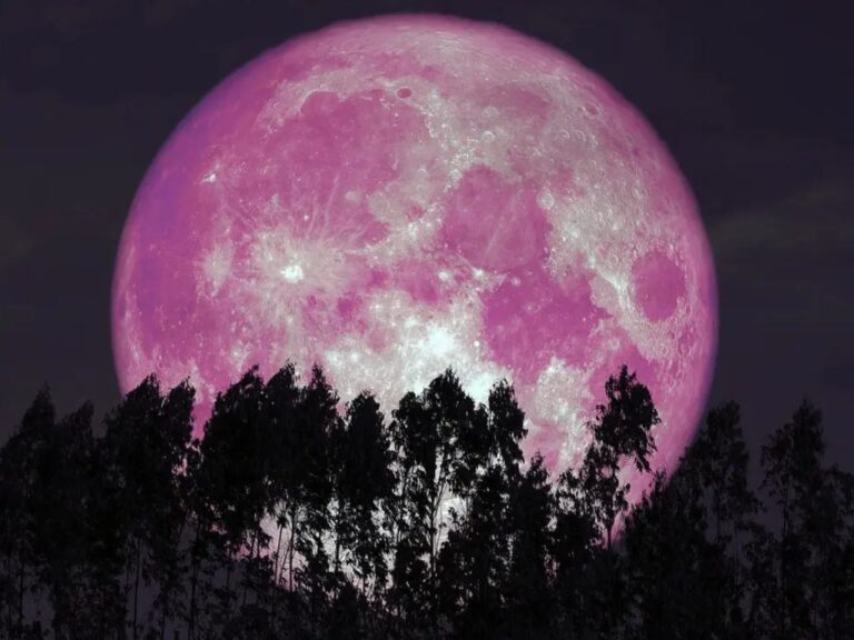 lua de morango
