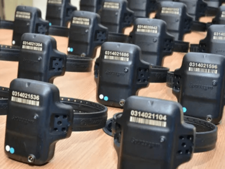 Tornozeleira eletrônica organizada para distribuição em centros de monitoramento no Brasil.