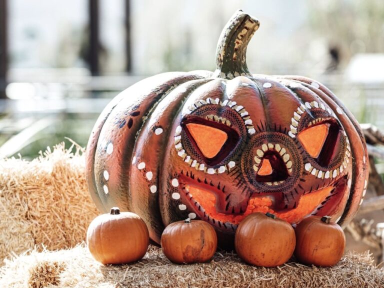 As ideias de fantasias para o Halloween precisam considerar o conforto e a mobilidade e podem contemplar casais, grupos, crianças e até pets