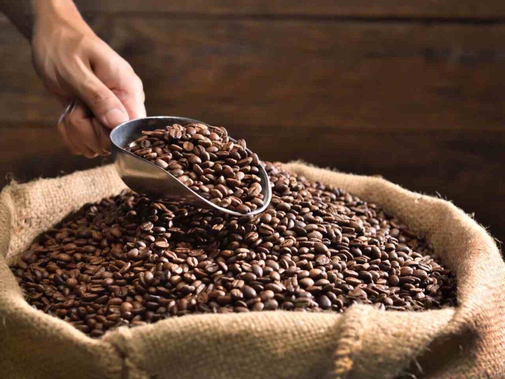Café um dos produtos de exportação em Minas Gerais