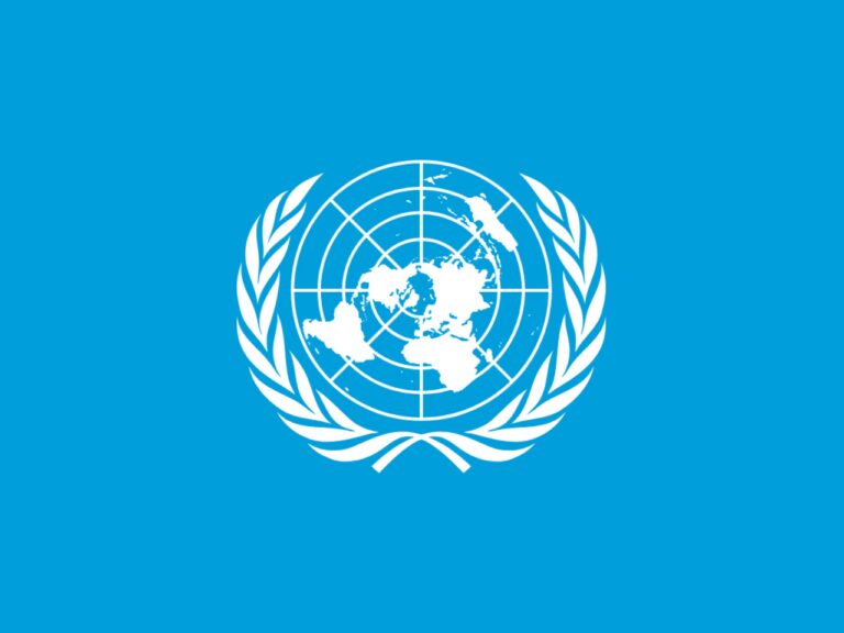Compreender qual é a função da ONU ajuda a entender como conflitos são mediados e como a ajuda humanitária chega a regiões em crise.