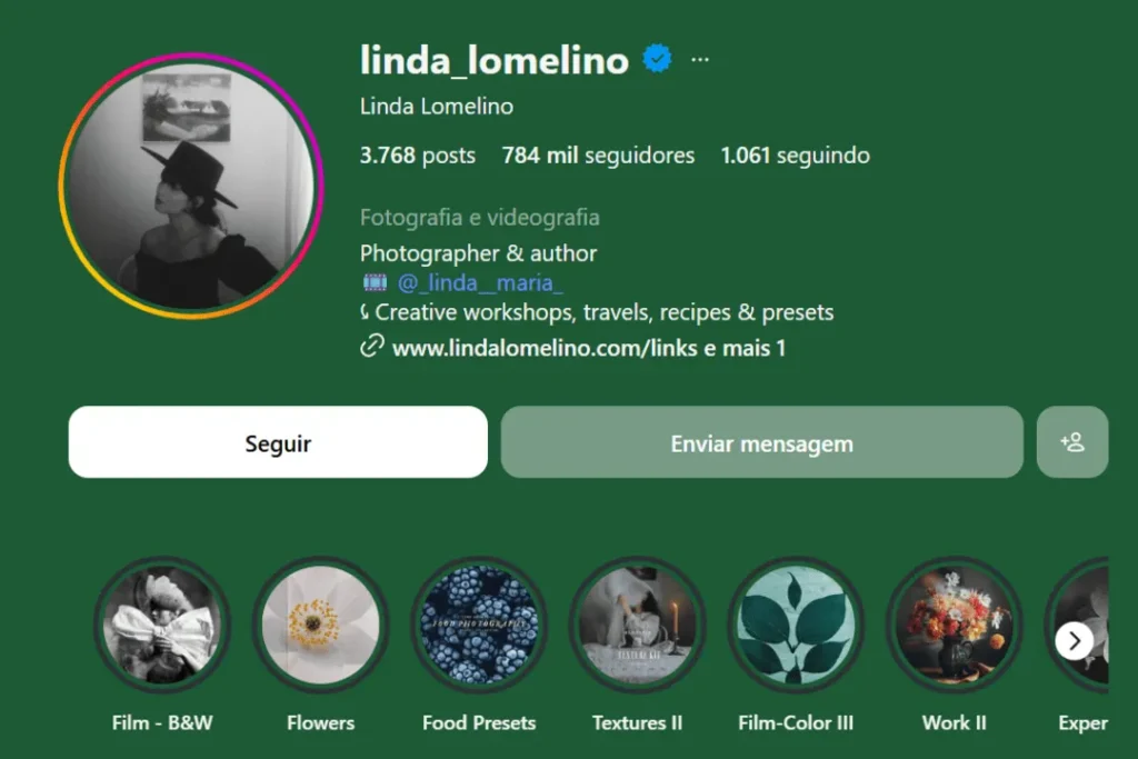 Captura de tela do perfil de Linda Lomelino no Instagram, com fundo verde, exibindo foto de perfil, biografia de fotógrafa e ícones de destaques.