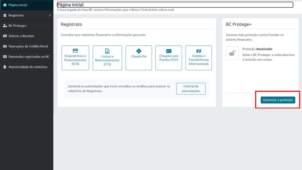 Página de acesso no BC Protege+