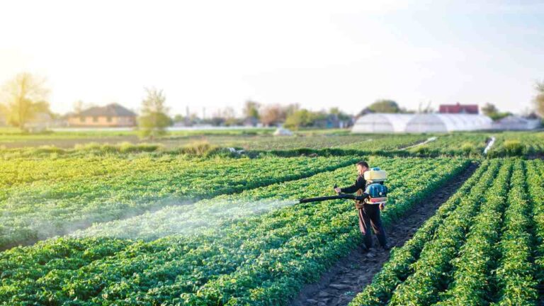 Homem aplicando fertilizantes na plantação no Brasil.